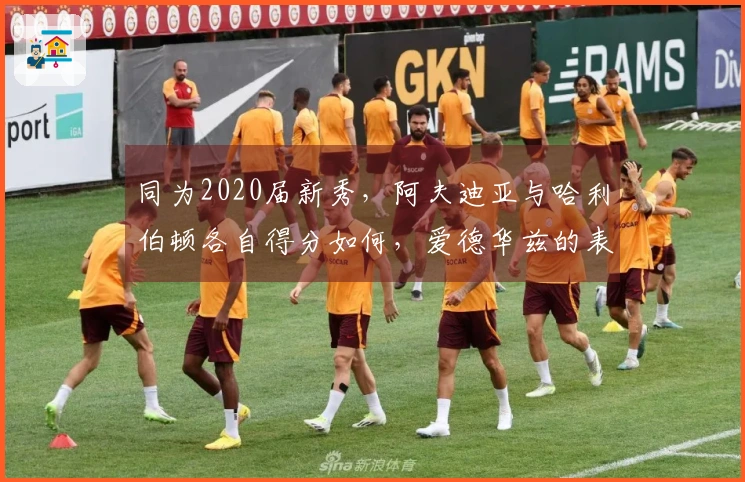 同为2020届新秀，阿夫迪亚与哈利伯顿各自得分如何，爱德华兹的表现呢？
