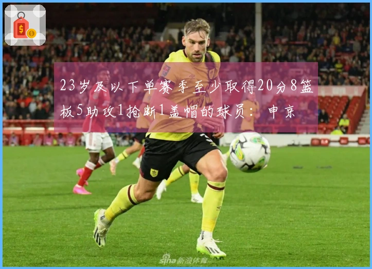 23岁及以下单赛季至少取得20分8篮板5助攻1抢断1盖帽的球员：申京 字母 狼王