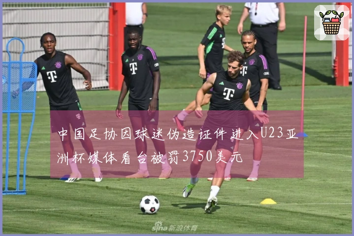 中国足协因球迷伪造证件进入U23亚洲杯媒体看台被罚3750美元